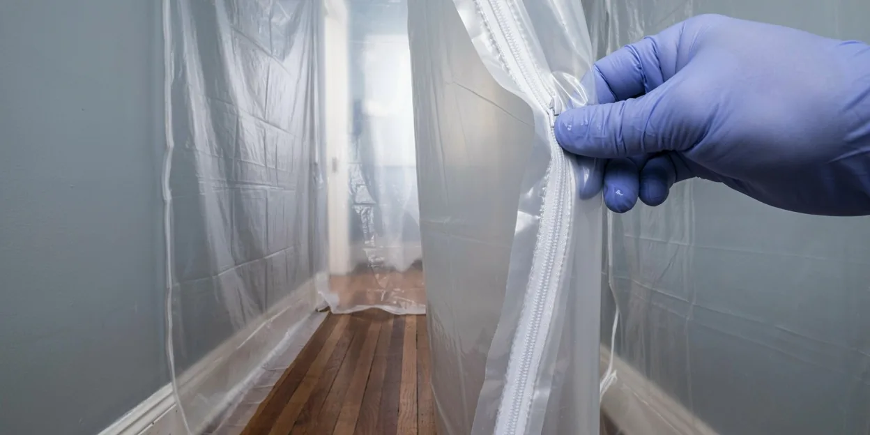Whole-Home Mold Remediation in Plano, TX